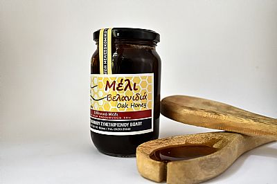 ΜΕΛΙ ΒΕΛΑΝΙΔΙΑΣ 500gr