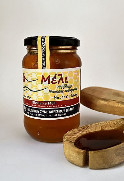 ΜΕΛΙ ΑΝΘΕΩΝ 500gr