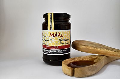 ΜΕΛΙ ΠΕΥΚΟΥ 500gr