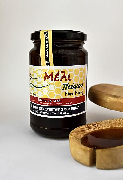 ΜΕΛΙ ΠΕΥΚΟΥ 500gr