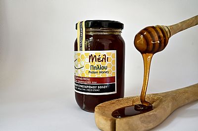 ΜΕΛΙ ΔΑΣΟΥΣ ΠΗΛΙΟΥ 500gr