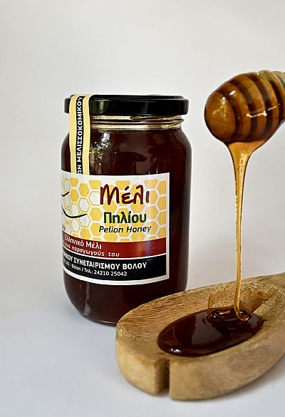 ΜΕΛΙ ΔΑΣΟΥΣ ΠΗΛΙΟΥ 500gr