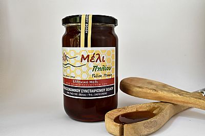 ΜΕΛΙ ΔΑΣΟΥΣ ΠΗΛΙΟΥ 1Kg