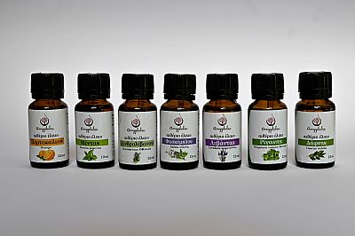 ΑΙΘΕΡΙΟ ΕΛΑΙΟ ΡΙΓΑΝΗΣ