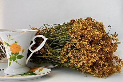 ΣΠΑΘΟΧΟΡΤΟ/ΒΑΛΣΑΜΟΧΟΡΤΟ