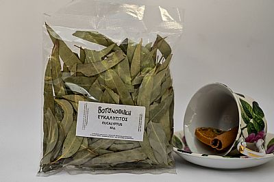 ΕΥΚΑΛΥΠΤΟΣ